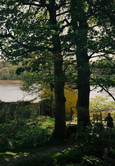 Edinburgh Autumn Forest Bathing and Aromatherapy Class
