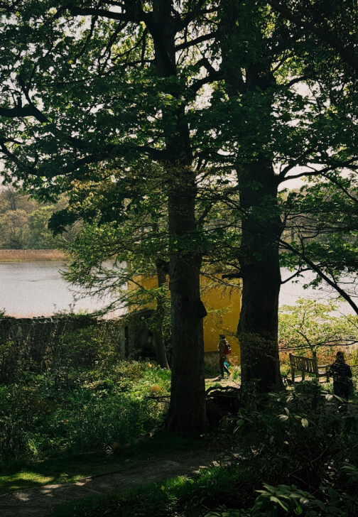 Edinburgh Autumn Forest Bathing and Aromatherapy Class