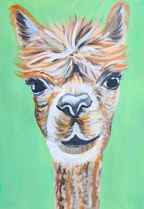 Art and Alpaca Experience