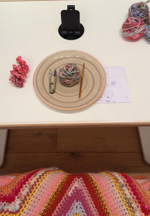 Beginner Crochet Experience