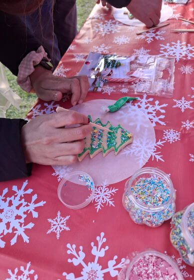 Christmas Cookies Decorating Workshop - Adult
