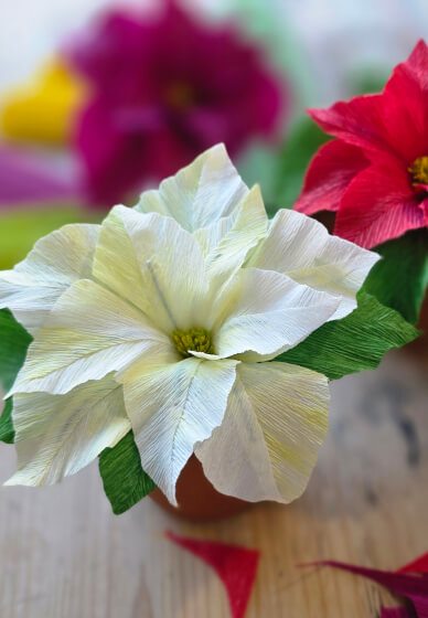 Christmas Poinsettia - Paper Flower Making Workshop