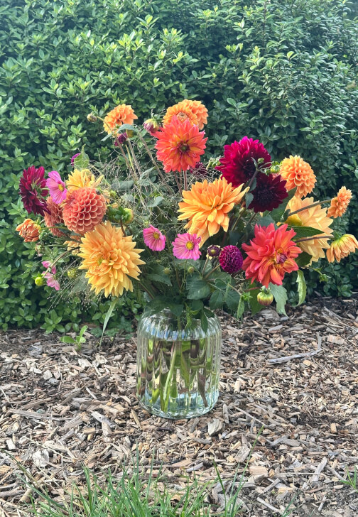 Dazzling Dahlias Workshop