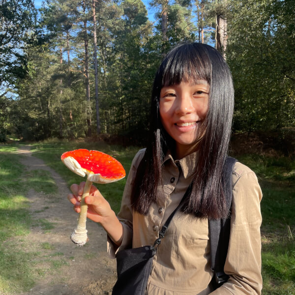 Foraging Classes - South East
