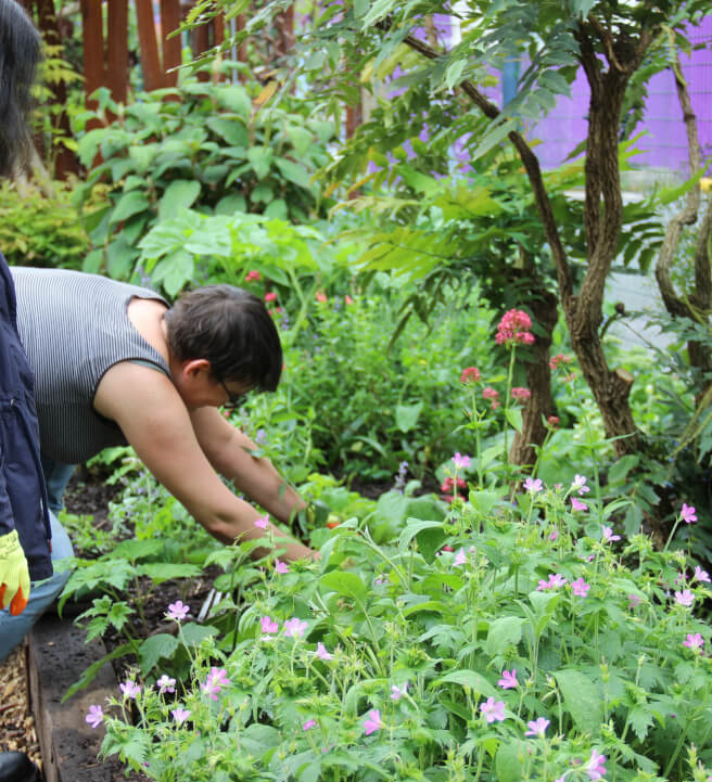 Introduction to Gardening