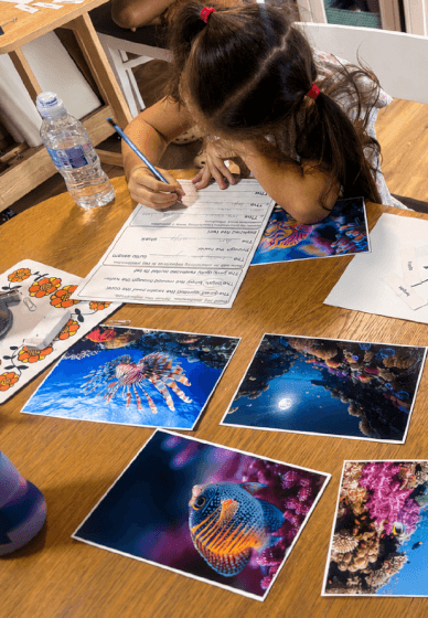 Kids' Creative Workshop: The Galápagos with Amelia