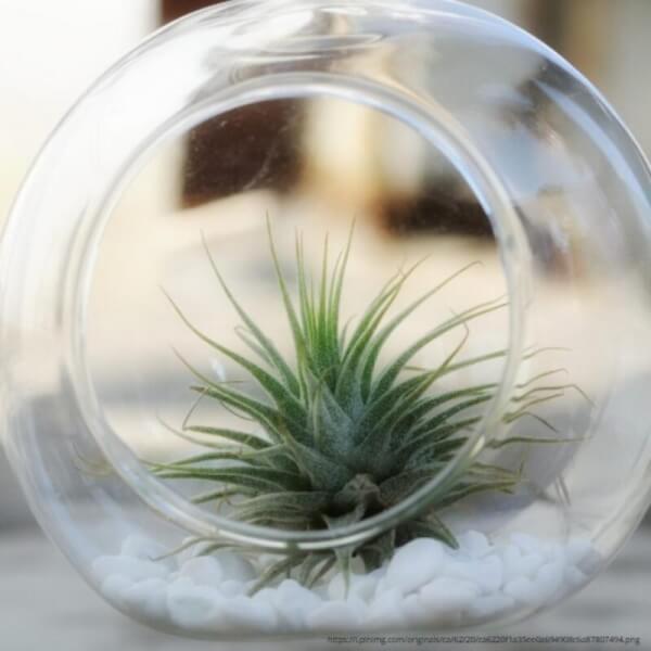 Bauble Making Classes Online