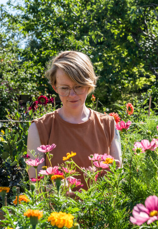 Planning a Natural Dye Garden at Home