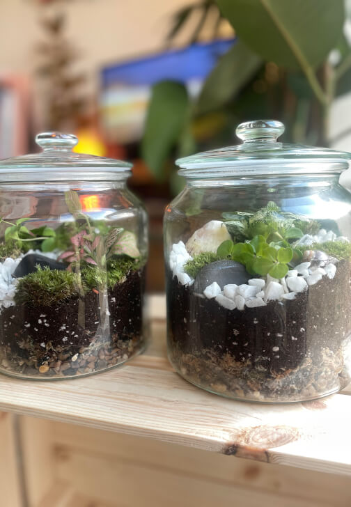 Terrarium Workshop