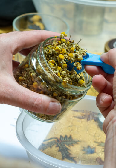 Valentines Heart Herbal Workshop