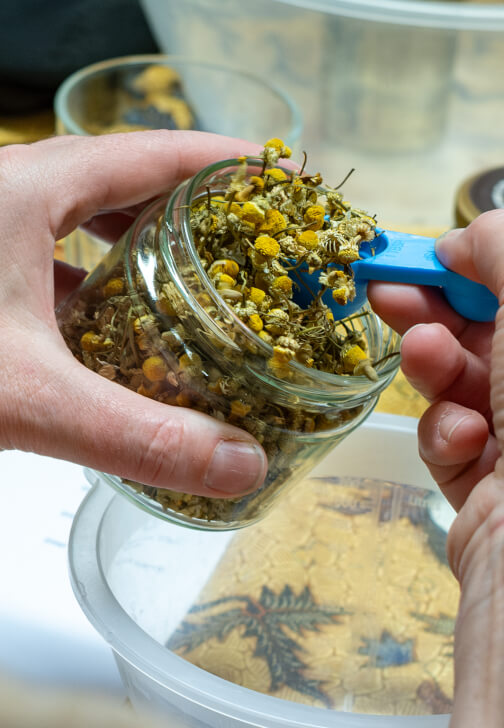 Valentines Heart Herbal Workshop