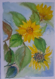 5-Week Beginner Watercolour Painting Course