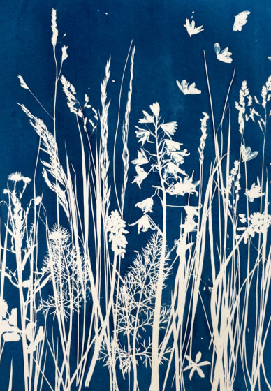 A Community in Print: Cyanotype Workshop