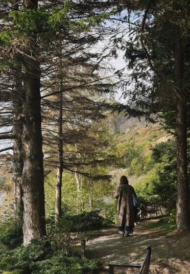 Edinburgh Autumn Forest Bathing and Aromatherapy Class