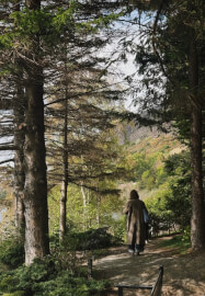 Edinburgh Autumn Forest Bathing and Aromatherapy Class