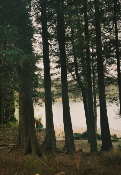 Edinburgh Autumn Forest Bathing and Aromatherapy Class