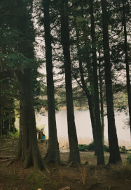 Edinburgh Autumn Forest Bathing and Aromatherapy Class