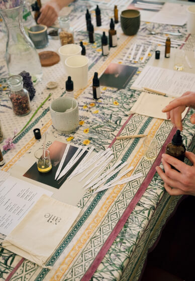 Edinburgh Autumn Forest Bathing and Aromatherapy Class