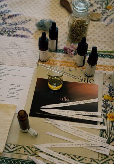 Edinburgh Autumn Forest Bathing and Aromatherapy Class