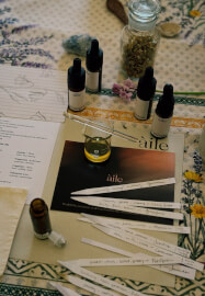 Edinburgh Autumn Forest Bathing and Aromatherapy Class