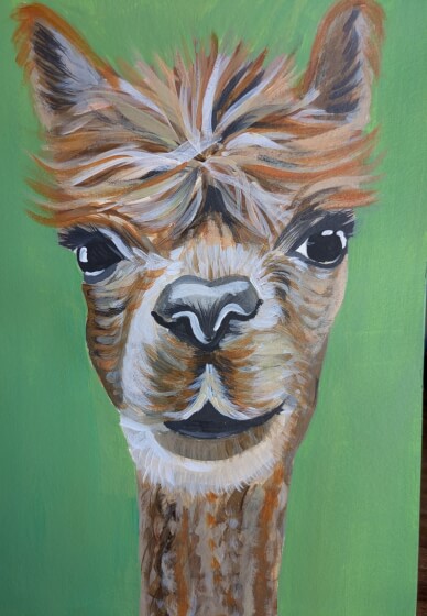 Art and Alpaca Experience