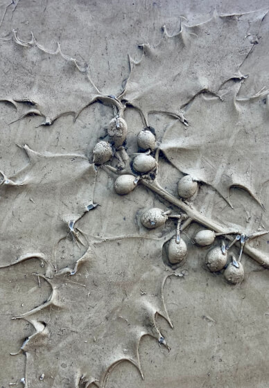 Bas-Relief Botanical Casting Workshop in Lechlade