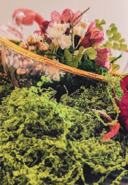 Botanical Bauble Workshop