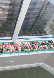 Children Birthday Chocolate Brigadeiro Making Party Around London