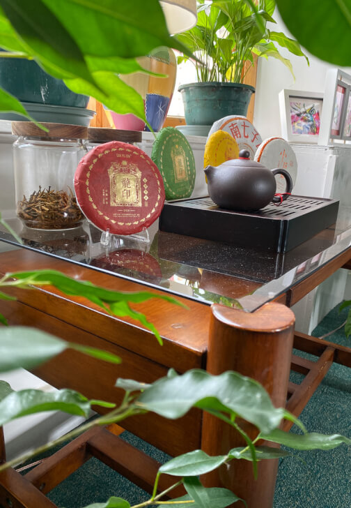 Chinese Tea Tasting and Brewing Workshop