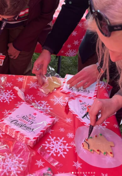 Christmas Cookies Decorating Workshop