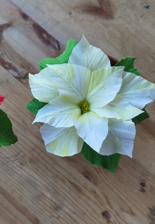 Christmas Poinsettia - Paper Flower Making Workshop