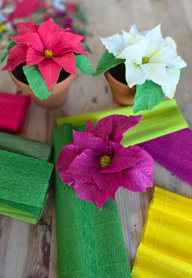 Christmas Poinsettia - Paper Flower Making Workshop