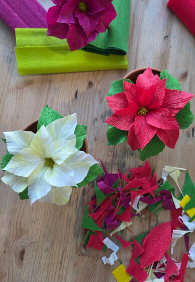 Christmas Poinsettia - Paper Flower Making Workshop