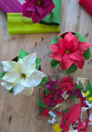 Christmas Poinsettia - Paper Flower Making Workshop
