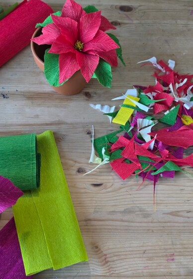 Christmas Poinsettia - Paper Flower Making Workshop