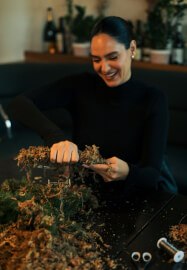 Christmas Wreath Making Workshop