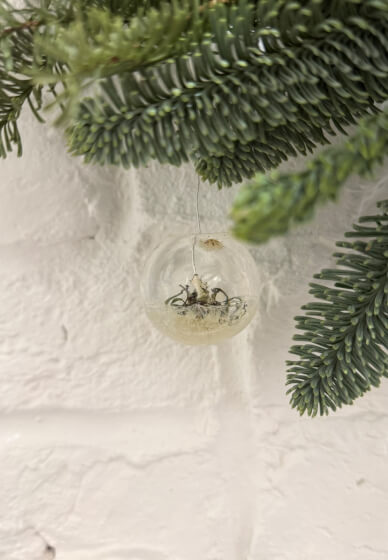 Christmas Wreath Workshop: A Wild and Natural Christmas