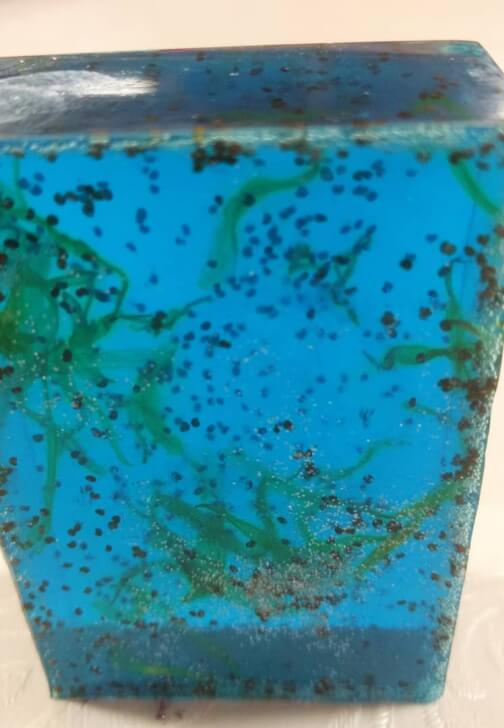 Creative Soap Making Workshop