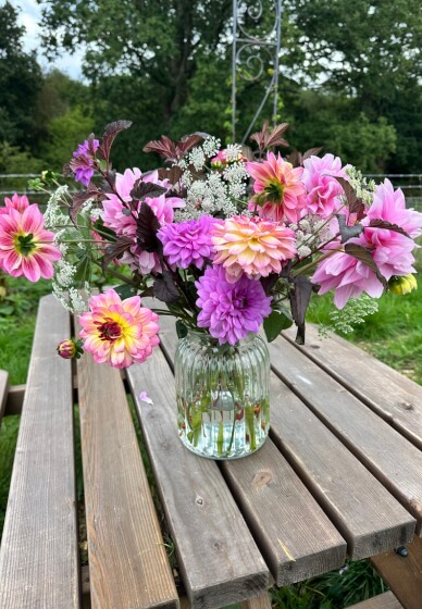 Dazzling Dahlias Workshop