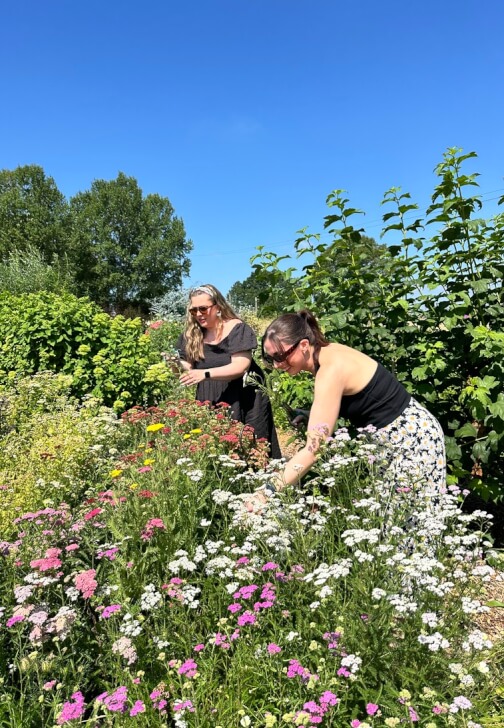 Dazzling Dahlias Workshop