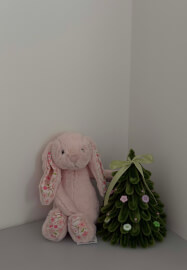 DIY Christmas Tree Workshop