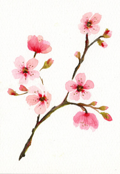 Festive Wreath Watercolour Art Class