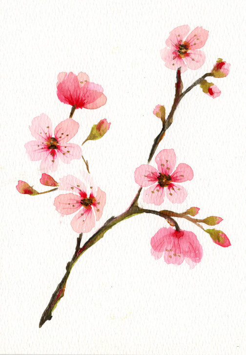 Photo from a painting class in Harrow