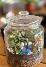 Hen Do Terrarium Workshop