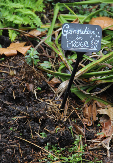 Introduction to Gardening 2 Day Workshop