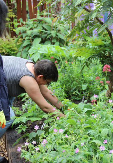 Introduction to Gardening 2 Day Workshop