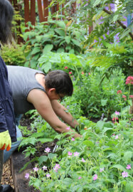 Introduction to Gardening 2 Day Workshop