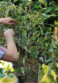 Introduction to Gardening 2 Day Workshop