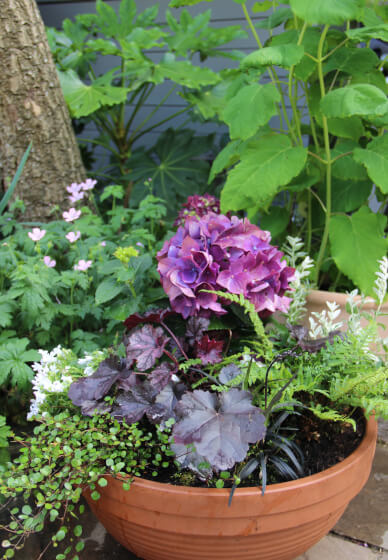 Introduction to Gardening 2 Day Workshop