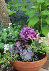 Introduction to Gardening 2 Day Workshop